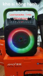 Loa karaoke chính hãng có 1 mic loa kéo Loa bluetooth loa xách tay chất lượng