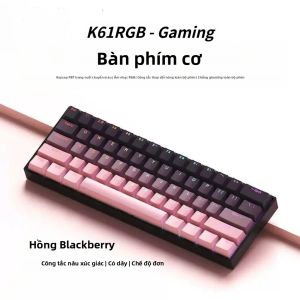 Bàn Phím Cơ Chơi Game NexusClick 61 Phím RGB Switch Nâu Hot-swappable Keycap PBT Bố Cục Mini 60% Có Dây Dành Cho Esports Máy Tính Để Bàn Và Laptop