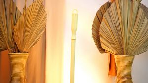 Dragon Pompa Karet WC PK 835