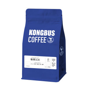 KONGBUS COFFEE | Đậu Cà Phê Đặc Sản SOE Hazelnut Sidamo Ethiopia Rang Nửa Chín 227g