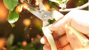 Garden Pruning Shears Scissors Gardening Machine Chopper Pruning Bend Shears Brush Cutter