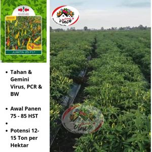 Benih Bibit Cabai Rawit Tahan Virus JUWITA 25  F1 350 Biji Cap Panah Merah