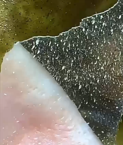 Gold Foil Peel Off Mask Blackheads 80g Nourishing Deep Hydration Smooth Reducing Fine Lines Facial MaskCleansing Treatment Peel Off Mask Deeply Cleans Skin Care