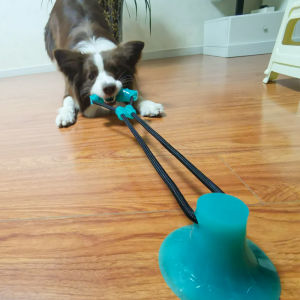 Large Dog Toys Interactive Rubber Ball Teddy Teeth Grinding Resistant Pulling Rope Pet Play for Puppies And Adult Dogs