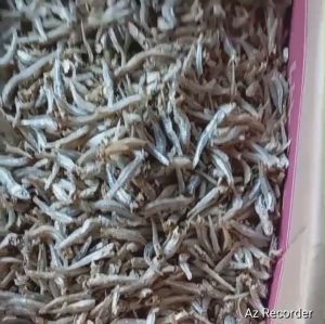 COD Ikan Asin Teri Jengki Super Ikan Asin Murah