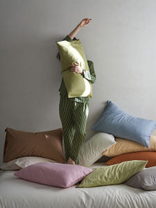 Cloud Missing Pure Cotton Embroidered Pillowcase 48x74cm Single Person Pillow Cover Adult Pure Cotton Pair Buy Two