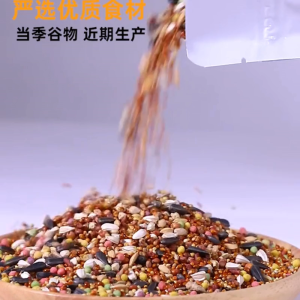 Perroquet Jonsanty Parrot Food Seed Mix Formulated Pellet Pet Bird Diet Small Medium Parrot