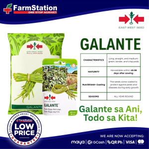Pole Sitao Galante 1000gms (Eastwest Seeds)