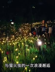 SXH  Outdoor Garden Waterproof Solar Ground Plug Firefly String Lights Small Lights   Lawn Internet Celebrity Firefly Colorful String Lights