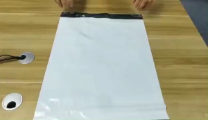🇸🇬 Fast Delivery Polymailer Bag / White Polymailer / courier bag / mailer bag / posting plastic bag / Packaging Bag