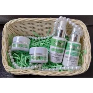 Paket Flek Platinum Tanpa Day Cream Duoble Night Cream Orlin Beauty /Krim Flek Tebal & Menahun Skincare bpom (bonus hijab)