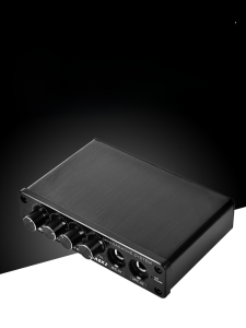 Ripuoduo Audio Mixer Dual Microphone Reverberator Karaoke Mixer Mini Dual-Channel Karaoke Mixing