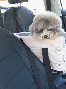 AP AIMAYAPET Car Dog Seat Pet Bed Small Puppy Vehicle Center Console Mat Front Seat Travel Cat Carrier Tas Haiwan