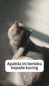 (buy 1 free 100pcs cotton bud)Petclear Pembersih Telinga untuk Anjing & Kucing 60ml dengan Aplikator Fleksibel Pet Ear Cleaner Ear Drop Natural Pet Ear Drops for Cats & Dogs - Itch Relief & Ear Hygiene 60ml