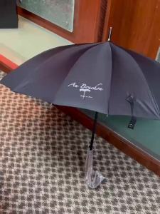 MOLORE | High-end Wooden-handle 24 Ribs Long-handle Automatic Business Umbrella