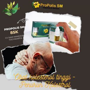 Obat kolesterol tinggi - Penurun Kolestrol LDL (Low Density Lipoprotein) - penyakit arteri koroner - rasa sakit di leher rahang perut atas dan punggung - Propolis SM