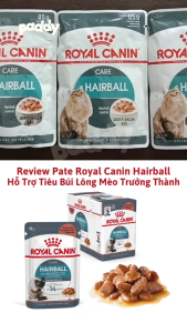 Pate Cho Mèo Tiêu Búi Lông Royal Canin Hairball Care 85g