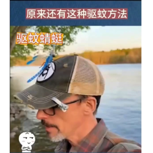 Fake Dragonfly Clip Outdoor Garden Decorative Mosquito Repellent Waterproof Klip pepatung Palsu