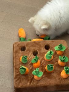 Interactive Plush Toy Pet Vegetable Pulling Set Childrens Parent-Child Exercise Grip Coordination Doll Biting Pet Toy