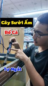 Cây Sưởi Thủy Tinh Cho Bể Cá Cảnh Rs Electrical