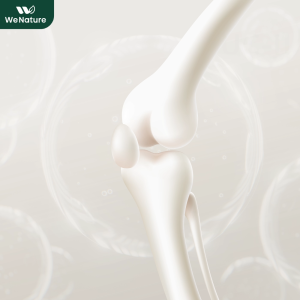 [FREE] วีเนเจอร์ คอลลาเจน-เบลนด์ คอลลาเจนสำหรับข้อเข่า [ผลิตภัณฑ์เสริมอาหาร]