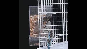 No Mess Bird Feeders Automatic Parrot Feeder Drinker Acrylic Seed Food Container Cage Accessories For Small And Medium Parakeets