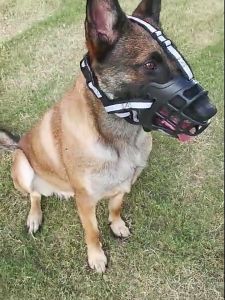 ตะกร้อครอบปากสุนัขระบายอากาศ💎วัสดุหนาแน่นพิเศษ✅สวมใส่แล้วดื่มน้ำได้⚡ป้องกันการกัดและเห่า📏ขนาด XS S M L#เหมาะกับทุกสายพันธุ์