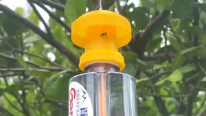 5PCS Teragenol Tempat Petrogenol Pengendali Lalat Buah Drosophila Bahan Plastik Warna Kuning 6x6x2CM Fruit Fly Trap / Fruit Fly Trap Killer Alat Perangkap Hama Serangga Lalat Buah