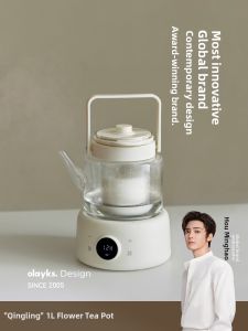 Olayks | Compact Glass Kettle For Home and Office Use