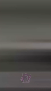 COLLECTIVE KAOS SLIMFIT WANITA KERAH V ATASAN CROP TOP