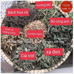 ( MUA LẺ - SỈ  GIÁ GỐC ) THANG Đặ.c Tr.i Tiêu U Bênh K . Tiê.u Tan Sạch U Tuy.ến Giáp Bướ.u cổ Cườn.g giáp Su.y Giáp Viêm Tuyến giáp Nang Tuyến giáp basedo . các khối u hạc.h trong người (30 gói nhỏ dùng trong 30 ngày)- Tây Bắc Food 277