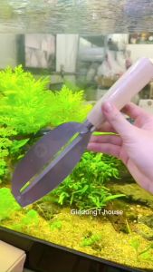 Dao bào Mỹ thép Trắng loại lớn siêu bén - dụng cụ bào củ quả cán gỗ loại lớn