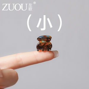 Miniature Ultra-Small Hair Grips Womens Side Clips Acetate Precise Hair Accessories Small Hair Cards Stylish Fashionable