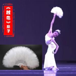 Quạt Vũ Đạo Phong Cách Dân Tộc Tai Dian Quạt Lông Chim Biểu Diễn Mùa Xuân Linh Hồn Quạt Đi Bộ Phiên Bản Gốc Quạt Nghệ Thuật Dành Cho Người Lớn Và Trẻ Em