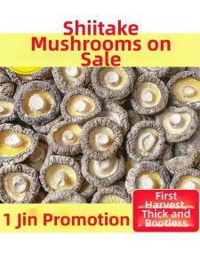 Dried Thick Rootless Shiitake Mushroom
