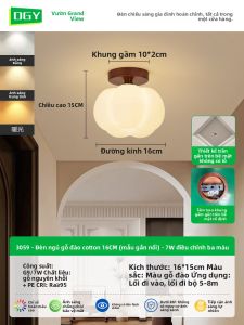 DGY | Đèn Foyer & Hallway Thủy Tinh Cao Cấp Độc Đáo