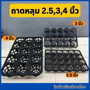 ถาดหลุมขนาด 2.5นิ้ว 3นิ้ว 4นิ้ว