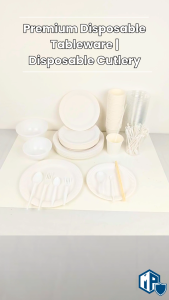 Disposable Plates | Paper Plate Disposable | Disposable Cup | Chopstick | Disposable Bowl | Disposable Spoon | Cutlery