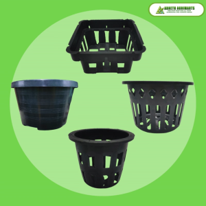 ARNETH HARD ROUND POT FOR CATTLEYA PLANT POTS FOR AIR PLANTS  FERNS  ORCHIDS AND HANGING PLANTS MURANG MESH POTS BIG