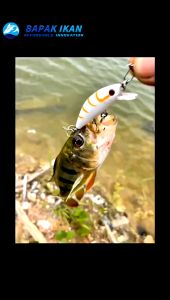 Umpan Lure Minnow Slow Sinking Fishing Bait Set Top Water Lure Tackle Lure For Fishing Swim Bait Lure Hook Fishing Lure Fishing Accessories-BK209