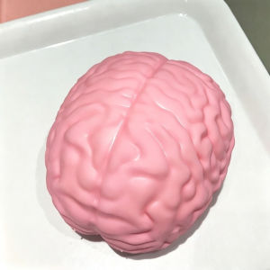 Squishy Jumbo Brain Stress Ball Squeeze Toys Stretchable Stress Relief Sensory Anxiety Relief Fidget Toys Gifts for Adults