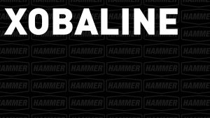 Hammer Nutrition XOBALINE - Essential Recovery Supplement Enhancing Muscle Repair 90 capsule