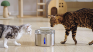 [ประกันศูนย์ไทย] Oneisall น้ำพุแมวไร้สาย น้ำพุแมว ขนาด3.5L มีเซ็นเซอร์ตรวจจับการเคลื่อนไหว จ่ายน้ำอัตโนมัติ รุ่น PW04