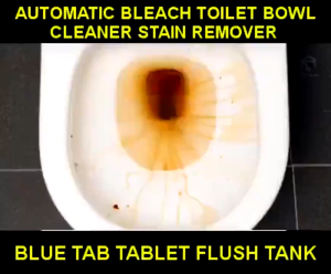 10pc Blue Tablet Toilet Bowl Cleaner Toilet Cleaner