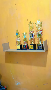 Rak Piala Rak Buku Bookshelf Tempel Gantung Dinding Estetik
