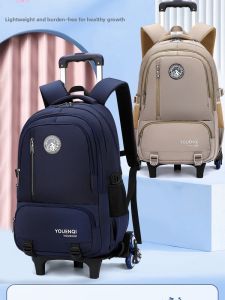 High Capacity Roller & Backpack School Bag for Students