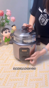 2-in-1 Electric Pot 2L Rice Cooker with Steamer PH Non-stick pot Energy-Saving Steam & Boil One-Touch Operation Gray & Black Design