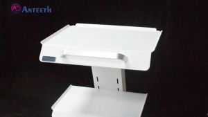 Clinic Portable Trolley Three-layer Stainless Steel Functional Cart Cosmetic Pet Dental Clinic Moving Tool Car