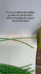 1PCS 2 PIN PROTON WIRA PERDANA KELISA SATRIA PUTRA ARENA ACV30 SV4 HARRIER ACU10 195130-7820 DENSO FUEL PUMP SOCKET