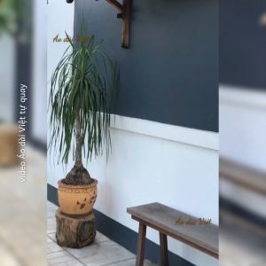 Áo dài trắng 4 tà tay phồng tơ óng cao cấp truyền thống may sẵn